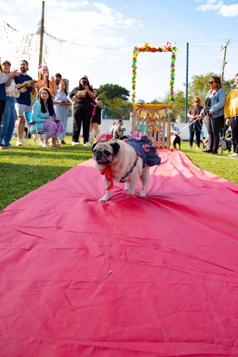 Foto do Pugnic 2026